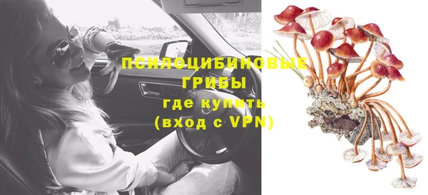 мет Богданович