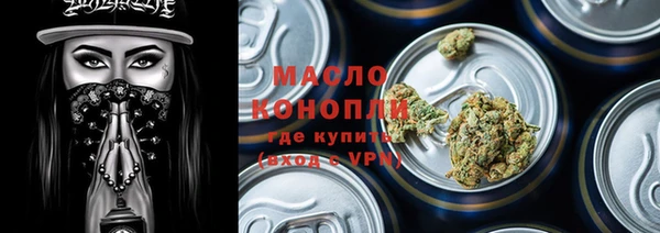 крисы Богородицк