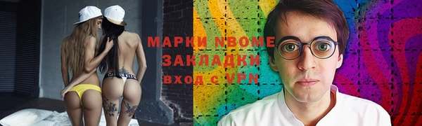 крисы Богородицк