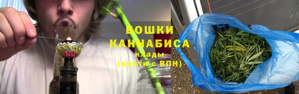 шишки Богородск