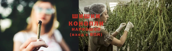 крисы Богородицк