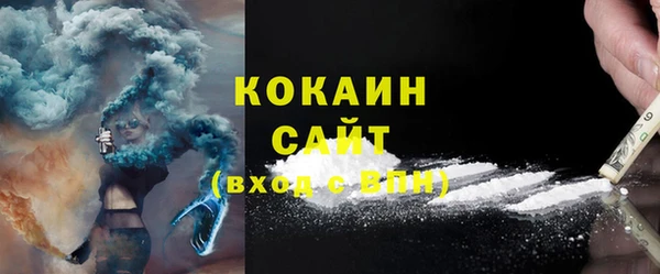 крисы Богородицк