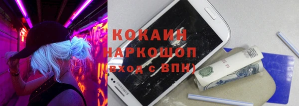 шишки Богородск