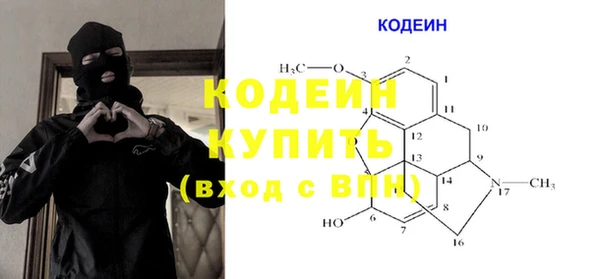 шишки Богородск
