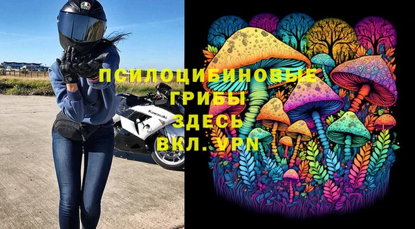 шишки Богородск