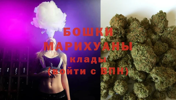 шишки Богородск