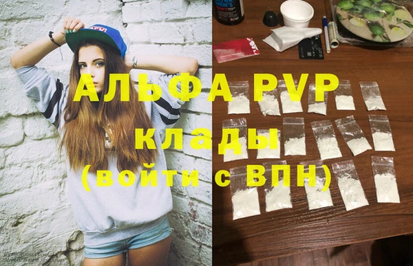 крисы Богородицк