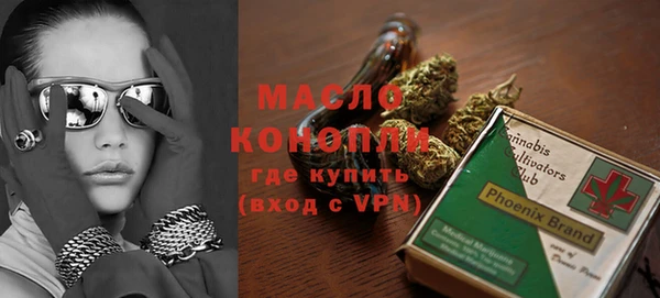 крисы Богородицк